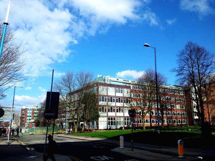 Telkom University Jakarta: Langkah Awal Menuju Karier Global